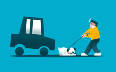 ¿Cómo responde tu seguro si atropellas a un perro?