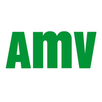 amv logotipo